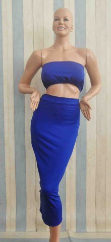 Women Royal Blue Tube Pencil Crop Tops And Skirts